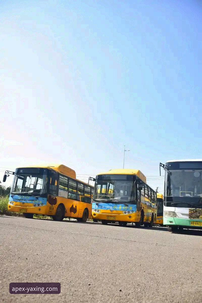 亚星客车订购 前瞻视角下的亚星客车订购实战经验:从7F3K车型解析到伙伴路径
